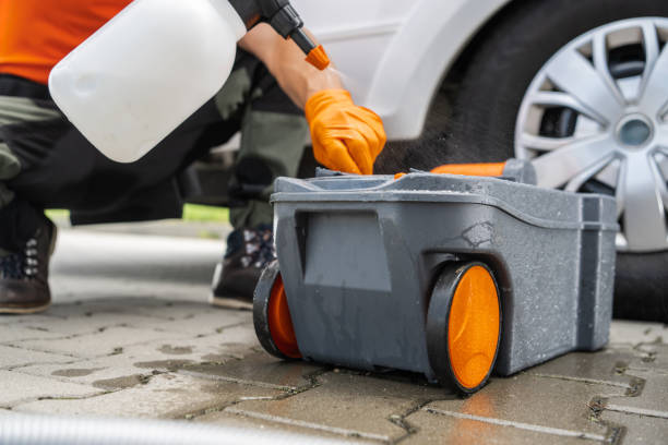 Best Lawn Disease Treatment  in Ford City, CA